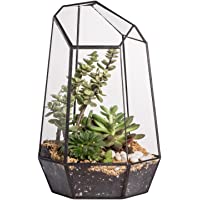 Los mejores  - Terrario de forma geométrica de prisma- de cristal- irregular- 25 cm de altura- de sobremesa- para plantas suculentas…